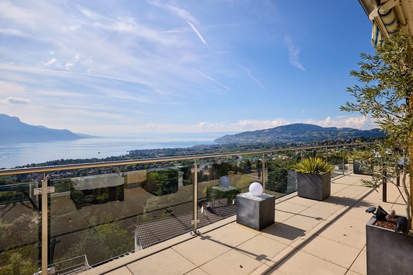 Très bel appartement avec vue exceptionnelle sur le Lac et les Alpes 4