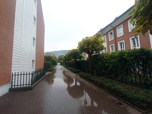 VESSY - Duplex Meublé de Standing 4 pièces ?370 m² + Ascenseur Privé 3