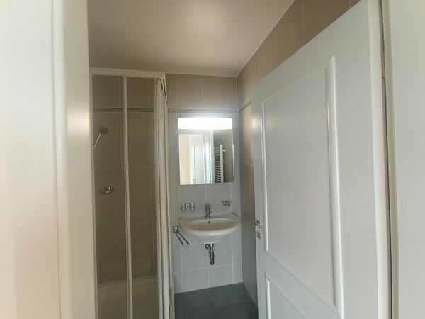 NATIONS - Appartement Traversant 2.5 pièces ?120 m², Mont-Blanc & Jet 11