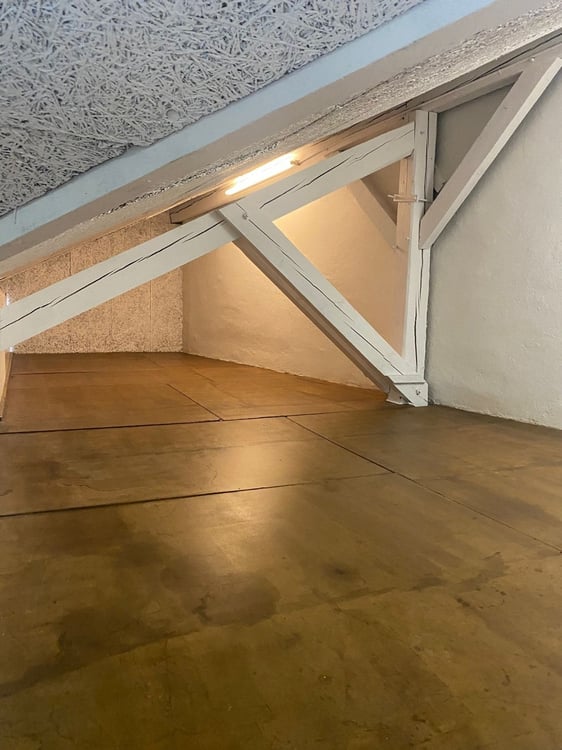 CAROUGE - Open-Space/Bureau  ?125 m² de Plain-Pied + Cuisine + Grenier 7