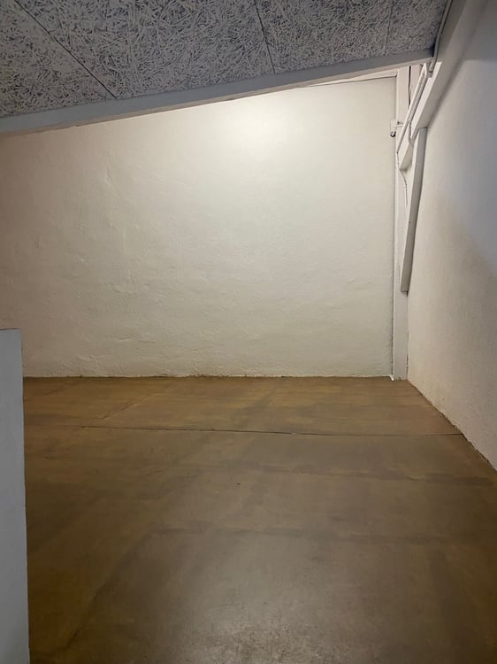 CAROUGE - Open-Space/Bureau  ?125 m² de Plain-Pied + Cuisine + Grenier 4