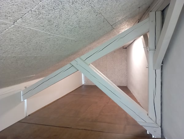 CAROUGE - Open-Space/Bureau  ?125 m² de Plain-Pied + Cuisine + Grenier 6