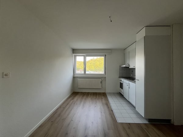 Appartement de 1.5pcs rénové à louer ! 1er loyer net offert ! 3