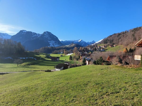 B1 - Appartement neuf 3.5 pièces au 1er étage, aux Sciernes d'Albeuve 5