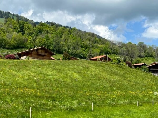 A1 - Appartement neuf 4.5 pièces au 1er étage, aux Sciernes d'Albeuve 6