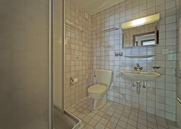 Bel appartement traversant de 4.5 pièces au bord de la Dranse 11