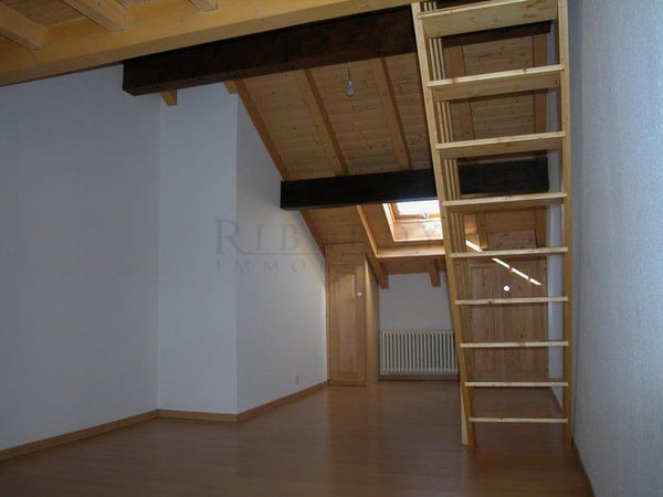 Corsier au calme, dans belle bâtisse campagnarde, appartement de 3.5 pièces ! 4
