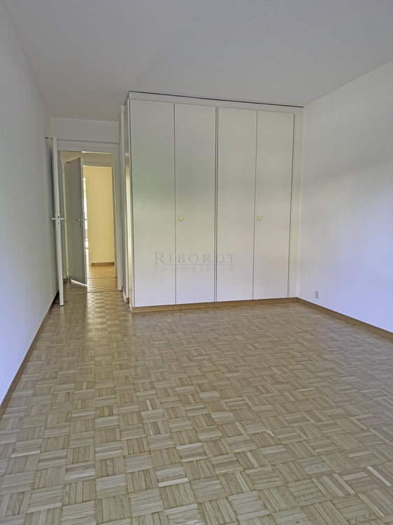 Spacieux, ensoleillé, avec une grande terrasse ainsi qu'un balcon ! 5
