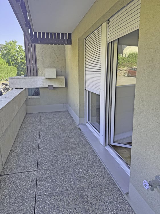 Spacieux, ensoleillé, avec une grande terrasse ainsi qu'un balcon ! 8