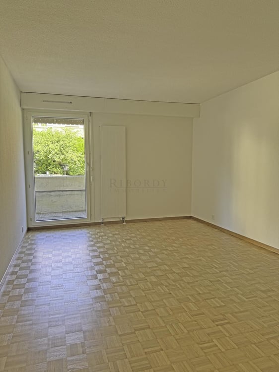 Spacieux, ensoleillé, avec une grande terrasse ainsi qu'un balcon ! 6