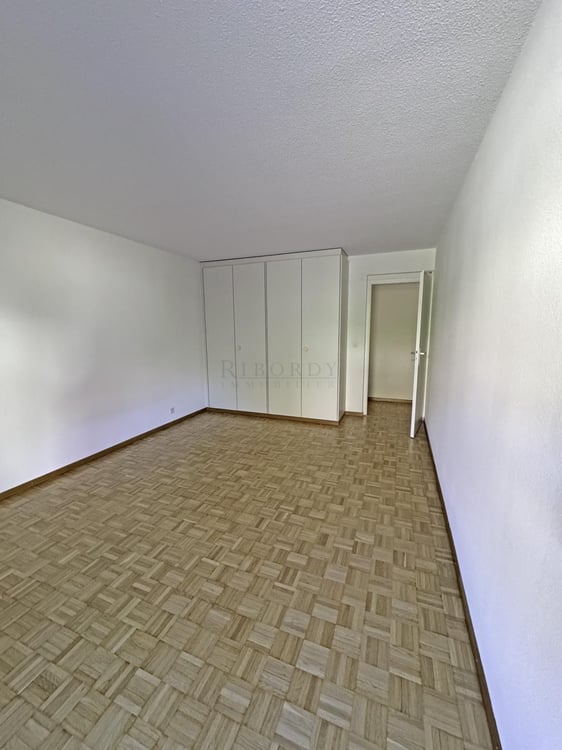 Spacieux, ensoleillé, avec une grande terrasse ainsi qu'un balcon ! 7