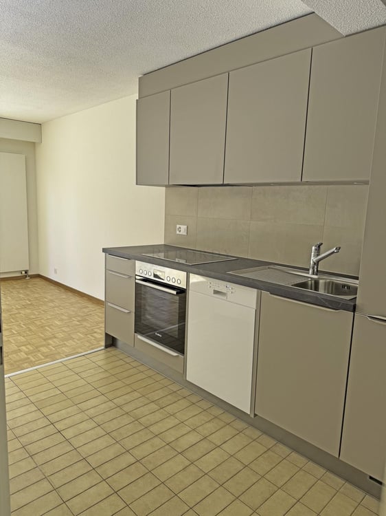 Spacieux, ensoleillé, avec une grande terrasse ainsi qu'un balcon ! 9