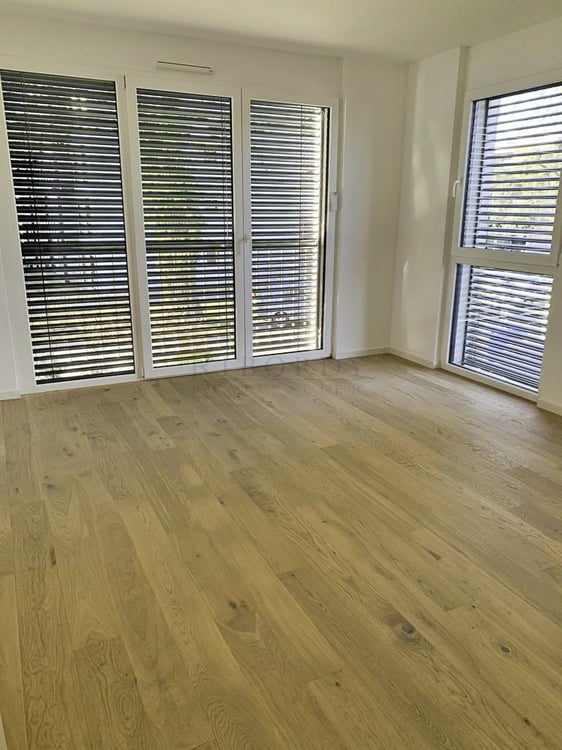 Plateau de Pinchat, superbe villa mitoyenne contemporaine idéalement située 3