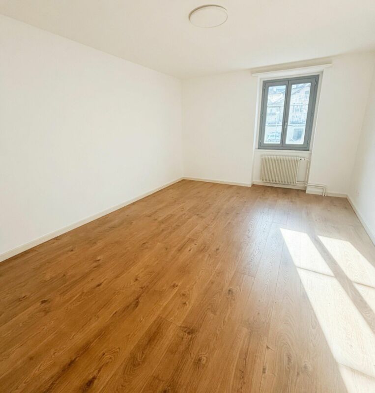 Plusieurs appartements rénovés à louer