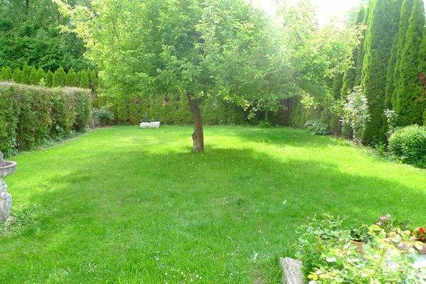 Appartement 2,5 pièces avec jardin 12