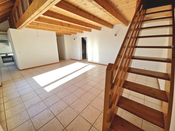 Appartement duplex 3 1/2 pièces avec mezzanine 6