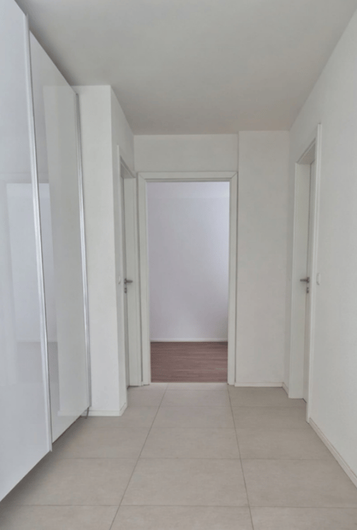 Immeuble de 3 appartements (2 appartements de 2 pièces et 1 appartement de 4.5 pièces duplex) 12