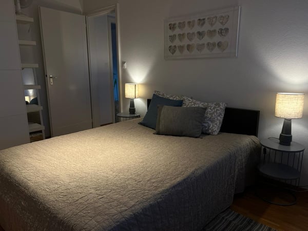 Confortable 1 pièces , vue spectaculaire sur le lac, équipé et meublé - machine à laver le linge 3