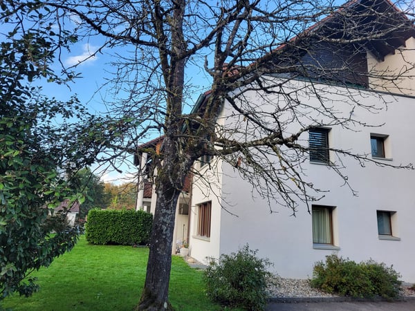 Grosszügige, helle Wohnung in 5-Familienhaus, in ruhigem und begrüntem Wohnquartier gelegen 1