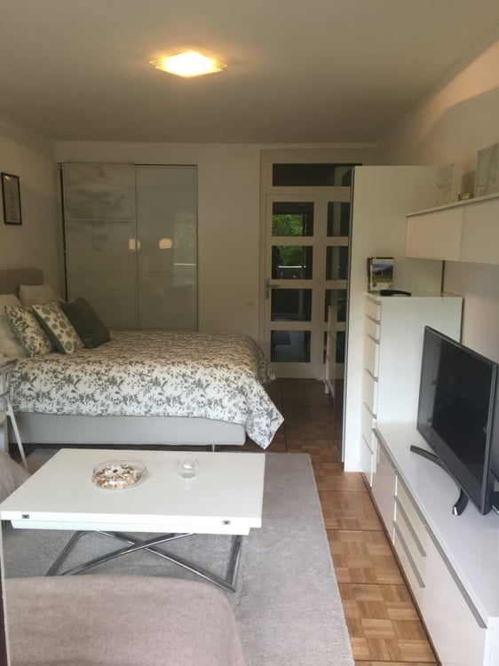 Furnished and Serviced Flats in Geneva short and long terme rent, 1-1 bedrooms 9