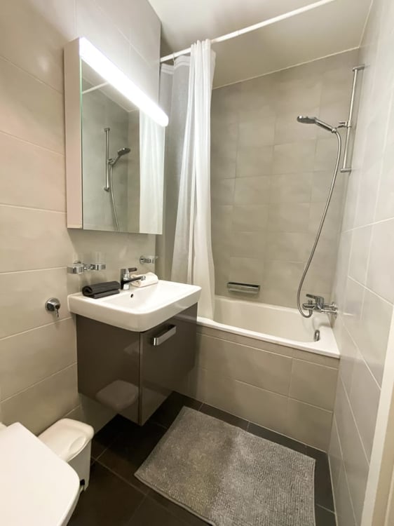 Furnished and Serviced Flats in Geneva short and long terme rent, 1-1 bedrooms 5