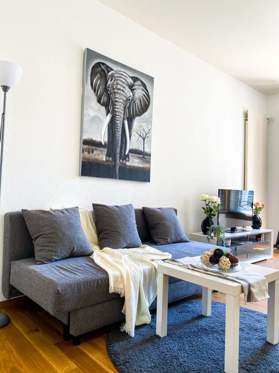 Furnished and Serviced Flats in Geneva short and long terme rent, 1-1 bedrooms 6