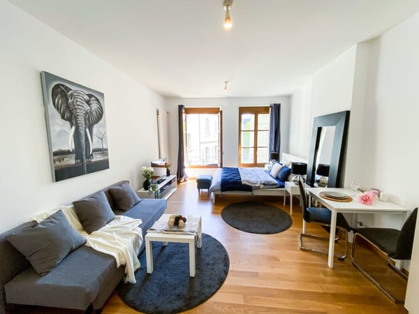 Furnished and Serviced Flats in Geneva short and long terme rent, 1-1 bedrooms 2