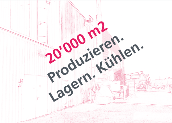 Lager- oder Gewerberaum in Villigen 3