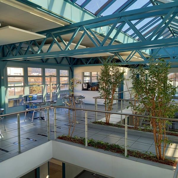 Büroräume in Chur erfrischend anders 5