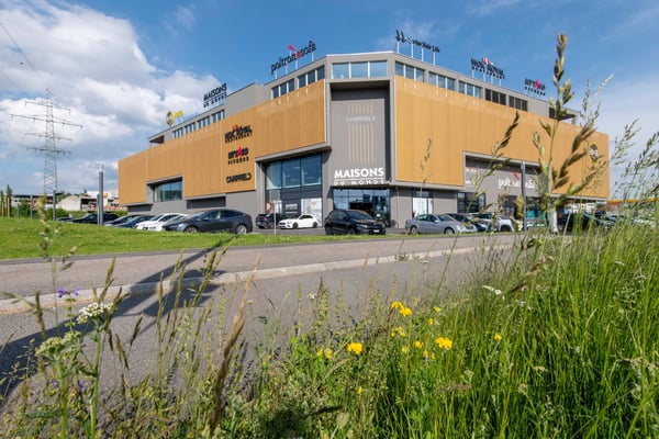 Attika-Büro in Oftringen 1