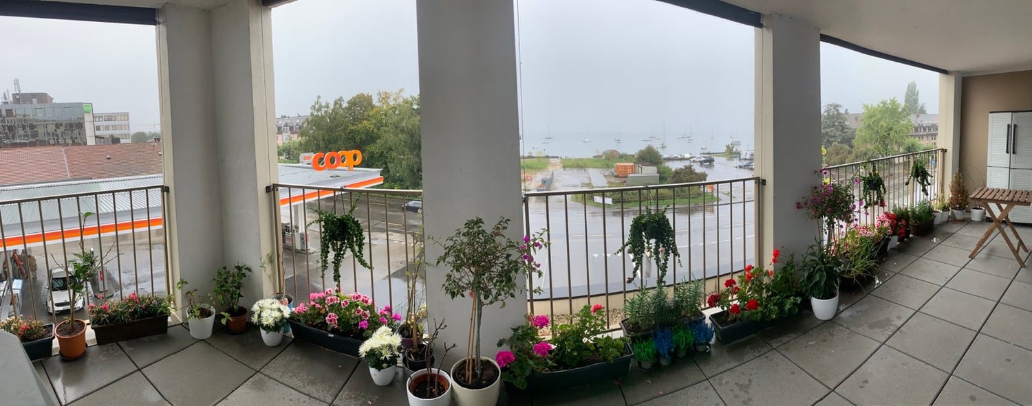 Page 2 Apartment for rent in homegate.ch