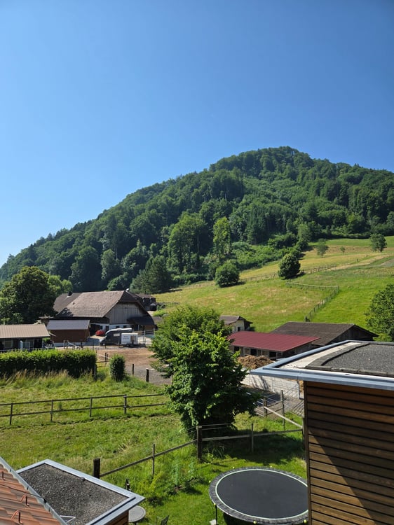 Wunderschöne Dachwohnung in ruhiger Lage in Belp zu vermieten 8