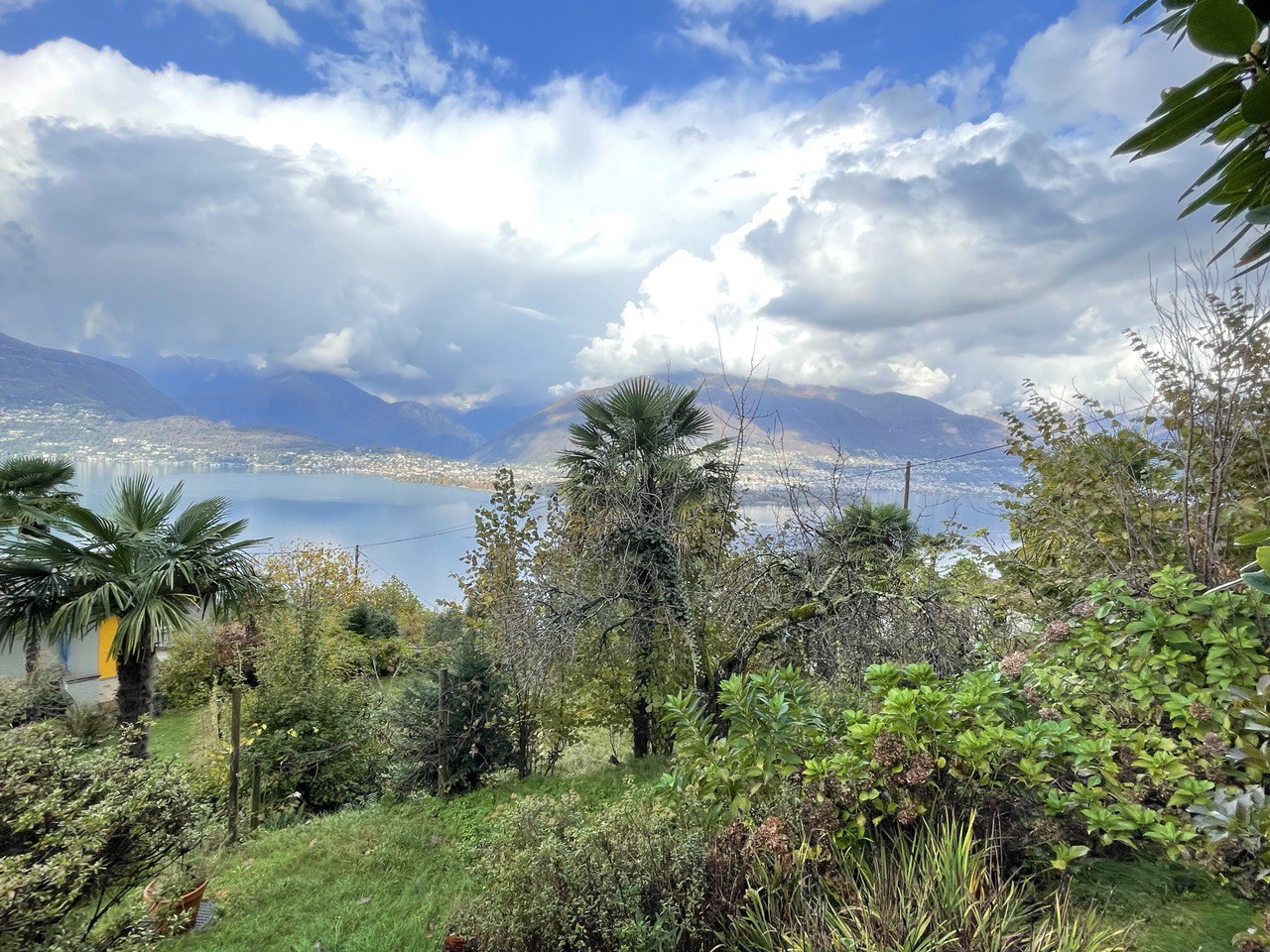 Beautiful garden with green grass, various plants, and trees overlooking a lake with mountains in the background.