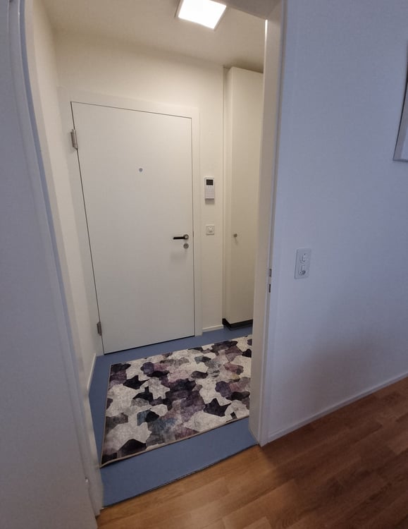 Möbliertes 2.5 Zimmer Wohnung 9