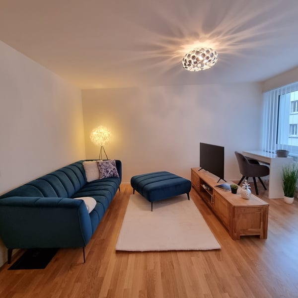 Möbliertes 2.5 Zimmer Wohnung 1