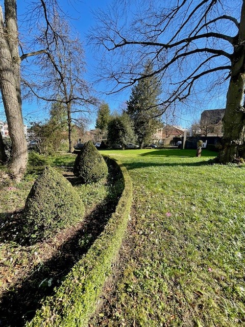 Repräsentative, historische Villa mit vollausgebauten Büroflächen 6