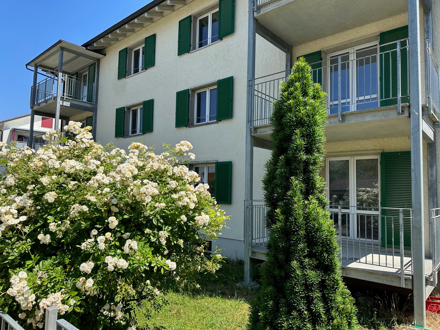 A multi-story apartment building with green shutters, balconies, and lush landscaping in the foreground including flowering bushes and a tall coniferous tree.