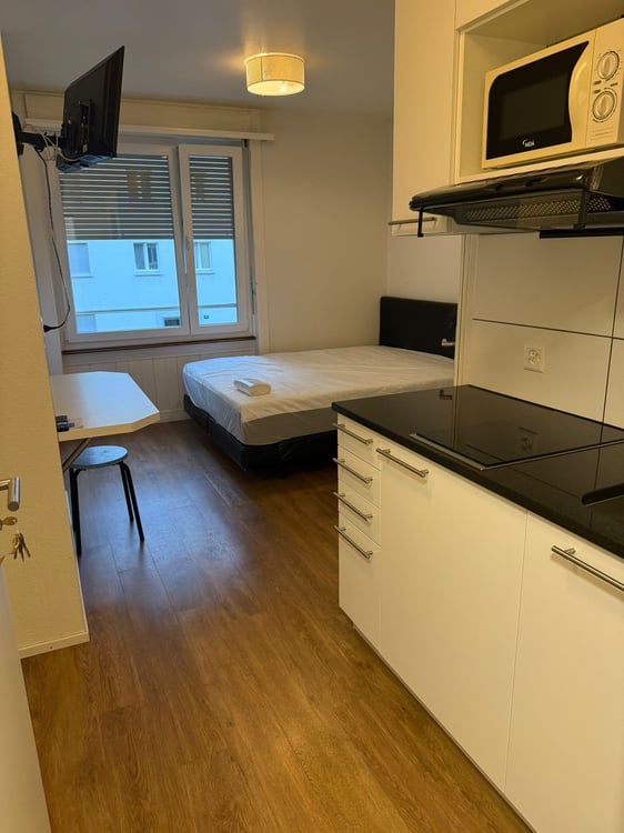 Möblierte Wohnung 2 Fussminuten vom Stücki Einkaufszentrum Basel 1