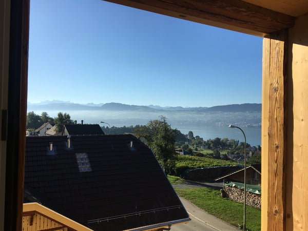 Einzigartige 1.5 Zimmer-Loft-Wohnung an privilegierter Lage 4