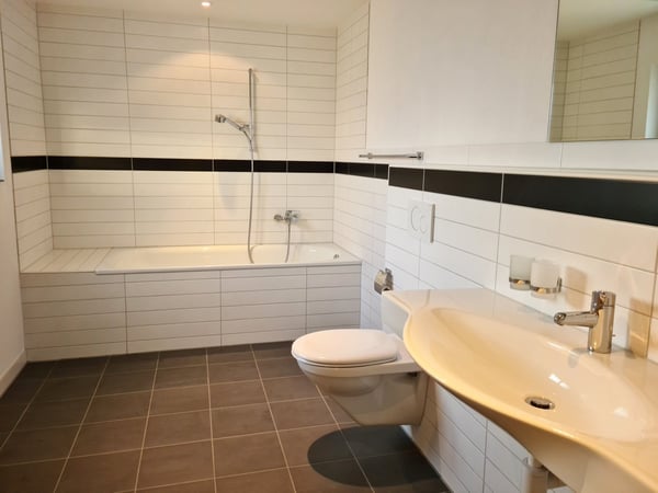 Mietkauf eines grosszügigen 1-Zimmer Einfamilienhaus im Fricktal 10