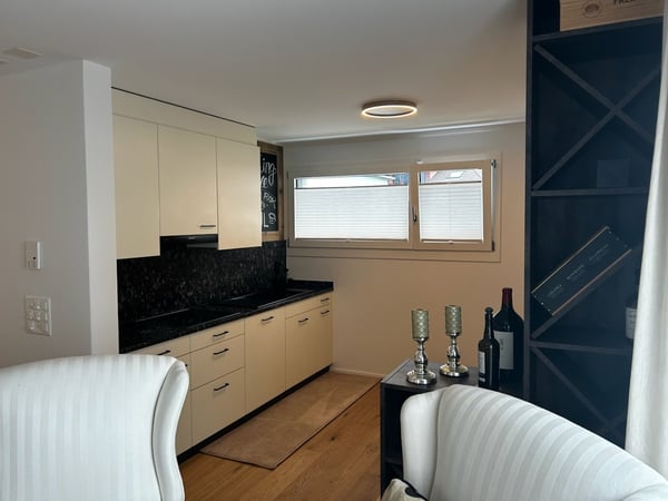 Möbilierte Wohnung in Arth / Furnished Apartment in Arth 4