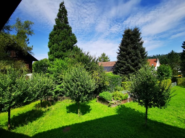 WILLKOMMEN IM DÖRFLI! 19