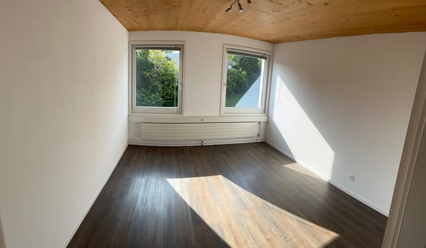 Gewerberaum / Phyiotherappiepraxis in Wolfhalden / Heiden 9