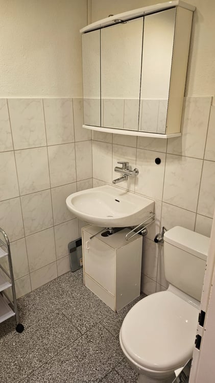 Möblierte 2-Zimmer-Wohnung in Zürich Aussersihl 5