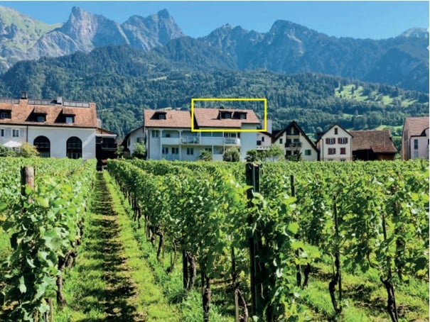 Detached house with vineyard, mountain view, brown roof, balcony on second floor, white facade, neighboring houses visible