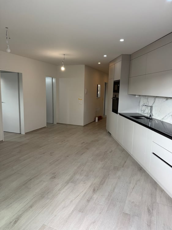 Moderne 1.5-Zimmer-Neubau-Wohnung  in Hallau 2