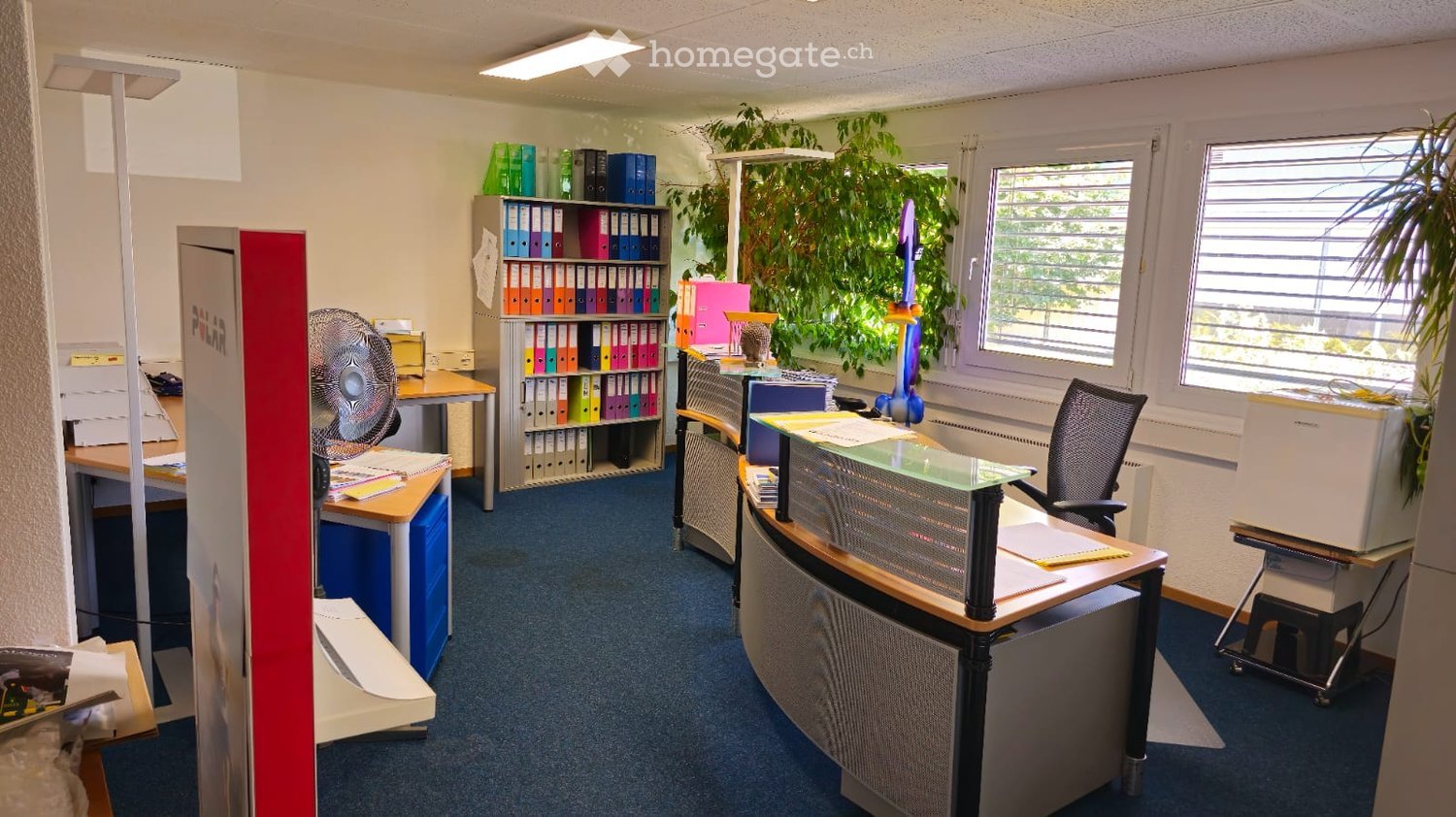 office with two large windows, filing cabinet, desk, chair, computer, plants, bookshelves, fan