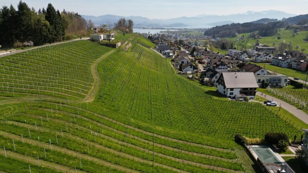 Moderne 1.5-Zimmer-Neubau-Wohnung mit Seeblick in Wilen b. Wollerau 1