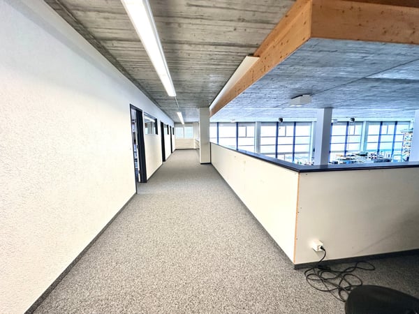 Gewerbe in Freienbach 4