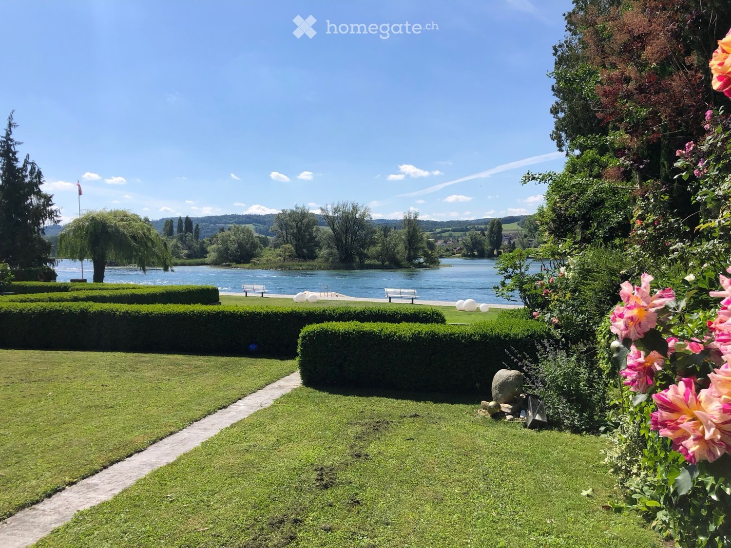 grass lawn, bushes, river, bushes and flowers